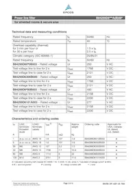 B84299D6101A003 Datasheet Page 2