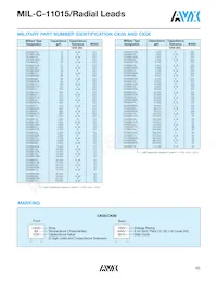 CK06BX105K Datasheet Page 2