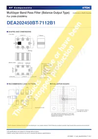 DEA202450BT-7112B1 Datasheet Page 2