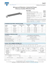 FVOT1011E20R00JE Datasheet Copertura