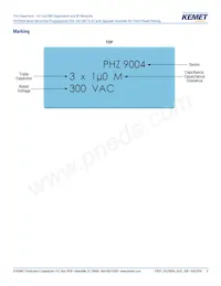 PHZ9004EF7100MR06L2 Datasheet Page 8