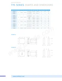 TYS60283R3N-10 Datasheet Page 6