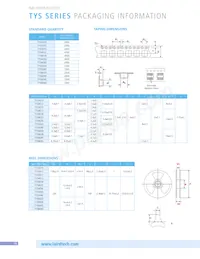 TYS60283R3N-10 Datasheet Page 16