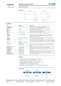 3613C100KV Datasheet Page 2