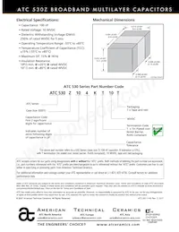 530Z104KT10T Datasheet Page 2