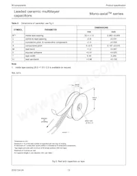 A103M15Z5UF5TAA Datasheet Pagina 13