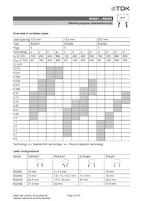 B32592C6104J008 Datasheet Page 20