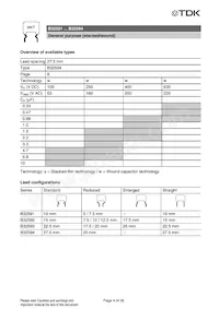 B32592C6104J008 Datasheet Page 21