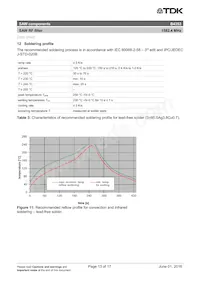 B39162B4353P810 Datasheet Page 15