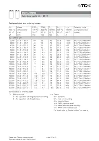 B43713A5109M000 Datasheet Pagina 12