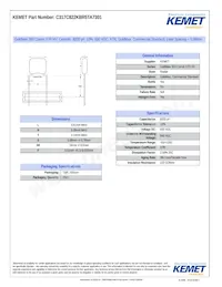 C317C822KBR5TA7301 Datasheet Cover