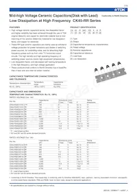 CK45-R3FD222K-NR Datasheet Pagina 2