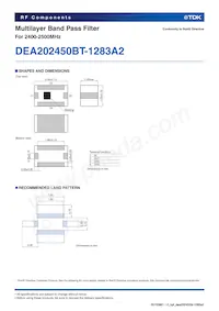 DEA202450BT-1283A2 Datasheet Page 2