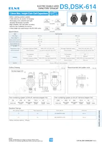 DS-2R5H224U-HL Datasheet Page 2