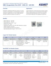 F115PL104J050V Datasheet Copertura