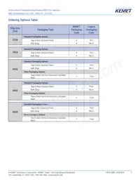 F115PL104J050V Datasheet Page 2