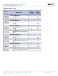 F115PL104J050V Datasheet Pagina 2