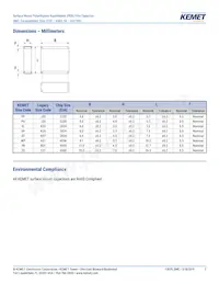 F115PL104J050V Datasheet Page 3