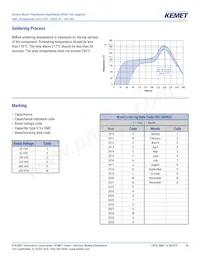 F115PL104J050V Datasheet Page 10