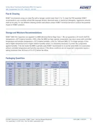 F115PL104J050V Datasheet Page 11