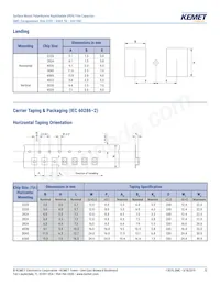 F115PL104J050V Datasheet Page 12