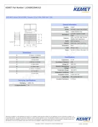 L1GN30G204KA10 Datasheet Copertura