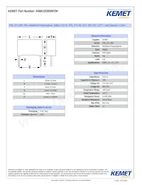 R46KI333000P2M Datasheet Cover