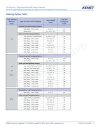 R75MD247040B0J Datasheet Pagina 2