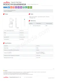 RCE5C1H120J0DBH03A 데이터 시트 표지