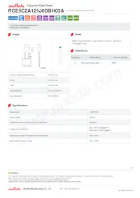 RCE5C2A121J0DBH03A Datasheet Cover