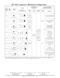 900C105MT100X Datasheet Page 3