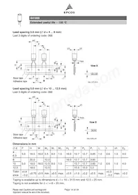 B41890A7108M003 Datasheet Page 14