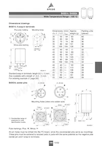 B43514C9687M000 Datenblatt Seite 3