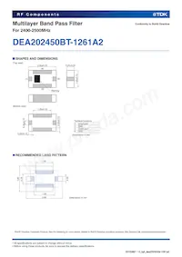 DEA202450BT-1261A2 Datasheet Pagina 2