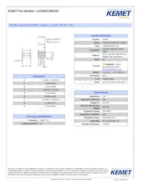 L1GN402105KA03 데이터 시트 표지