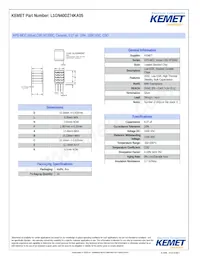 L1GN40D274KA05 Datasheet Copertura