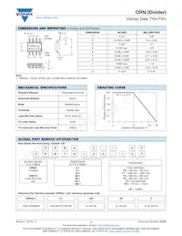 ORNA100-1T1 Datasheet Page 2