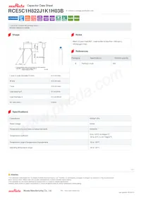 RCE5C1H822J1K1H03B Datasheet Cover