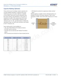 C1206C226K8PACTU Datasheet Pagina 13