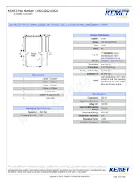 CCR05CG102JR Datasheet Copertura