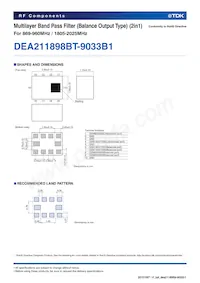 DEA211898BT-9033B1 Datenblatt Seite 2