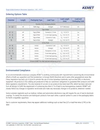 ESE227M050AH9EA Datasheet Pagina 2