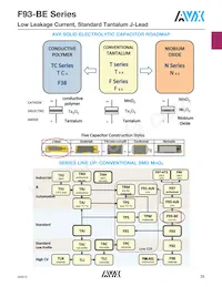 F931A476MAABE1 Datasheet Page 4