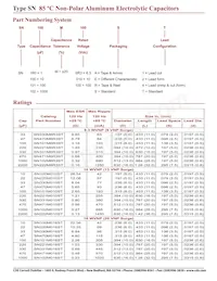 SN3R3M050RT Datasheet Pagina 2