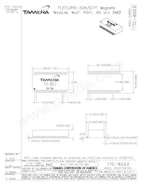 TTC-6023 Datasheet Page 2