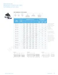 28B0157-100 Datasheet Pagina 21