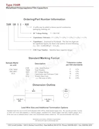 704M33592 Datasheet Pagina 2