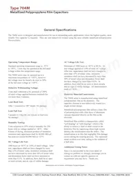 704M33592 Datasheet Pagina 4