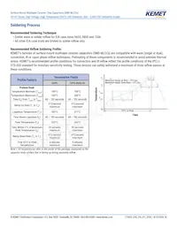 C2220H333JCGAFT050 Datasheet Page 14