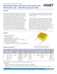 C640C102MHR5TA Datasheet Cover